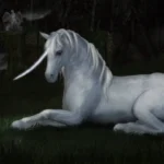 unicorndelight88